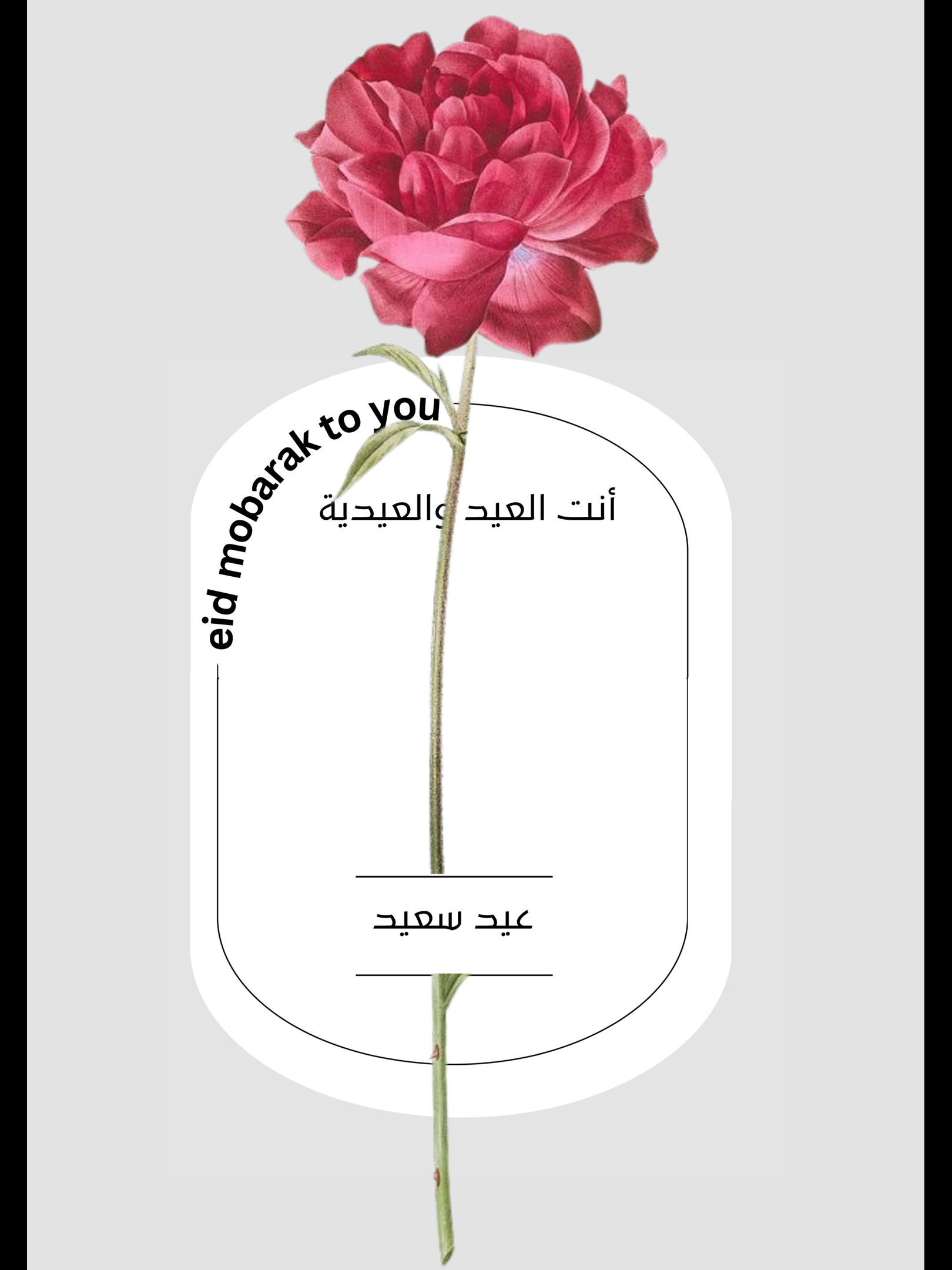 كرت للورد