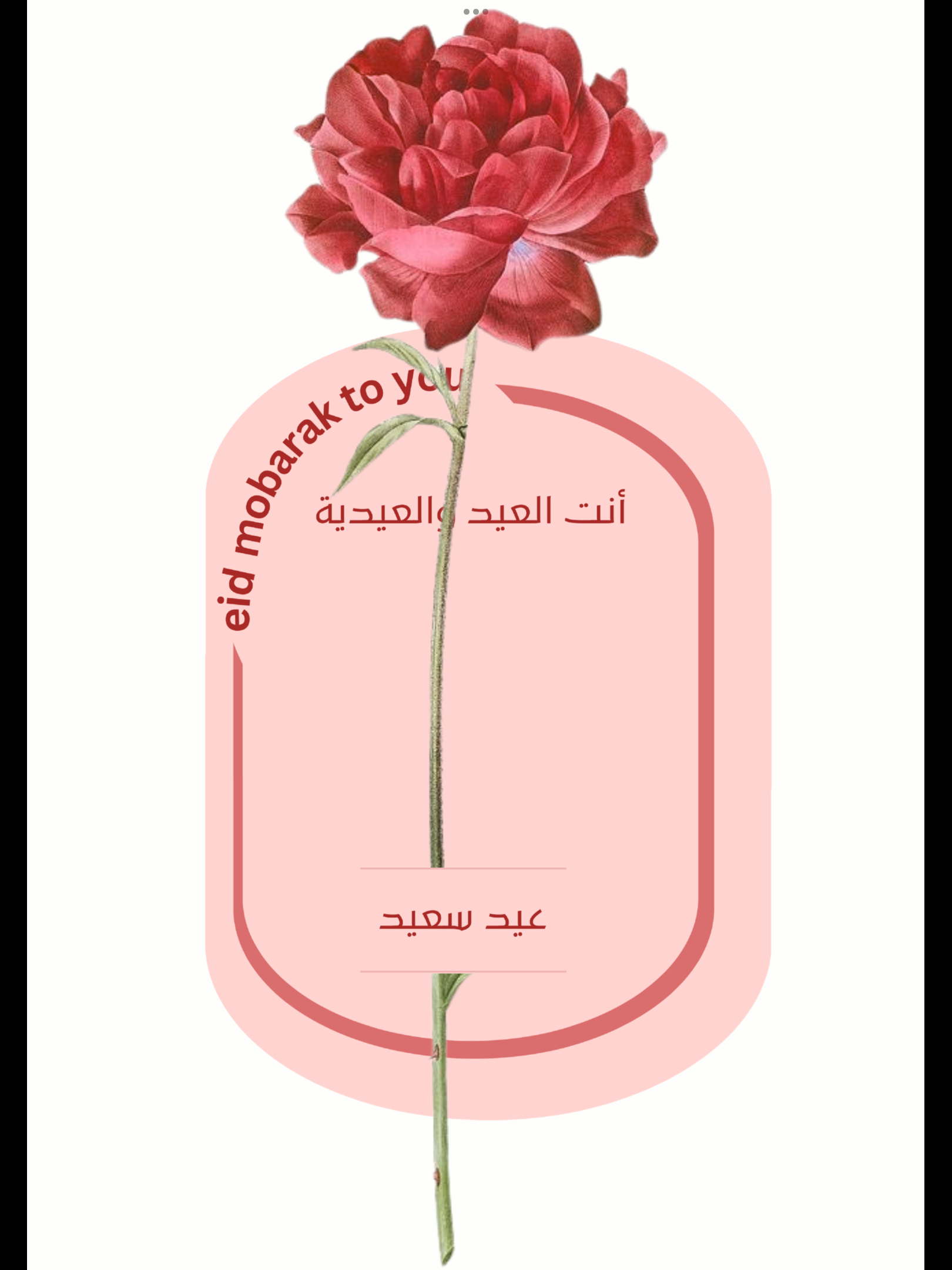 كرت للورد